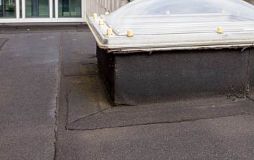 disadvantages of Risegate flat roofs