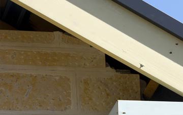 soffit repair Risegate