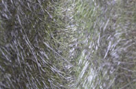 Risegate fibreglass roof work